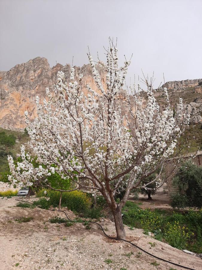 Cortijo El Chorreadero En Parque Natural Sierra De Cazorla Los Rosales  Eksteriør billede