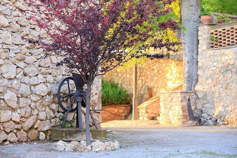Cortijo El Chorreadero En Parque Natural Sierra De Cazorla Los Rosales  Eksteriør billede