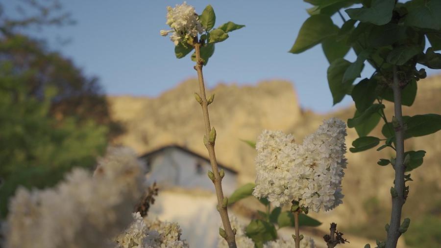 Cortijo El Chorreadero En Parque Natural Sierra De Cazorla Los Rosales  Eksteriør billede